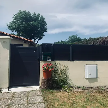 Les Petits De Kzo