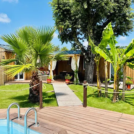 Apartment Les Petits De Kzo *