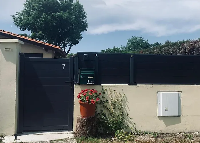 Les Petits De Kzo
