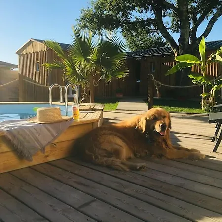 Les Petits De Kzo 公寓 拉特斯特德布赫