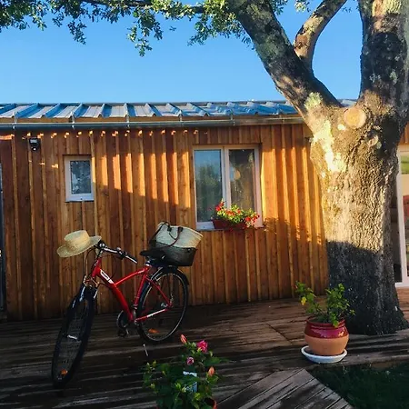 Apartament Les Petits De Kzo La Teste-de-Buch