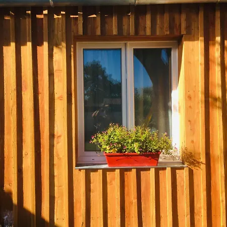 Les Petits De Kzo * Ла-Тест-де-Бюш