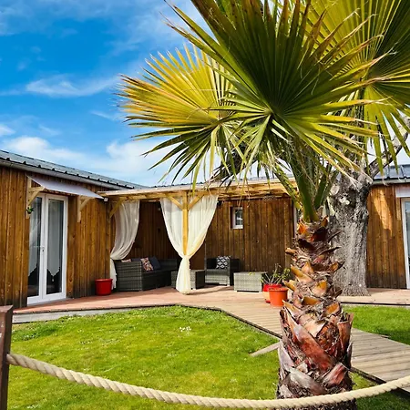 Апартаменты Les Petits De Kzo Ла-Тест-де-Бюш