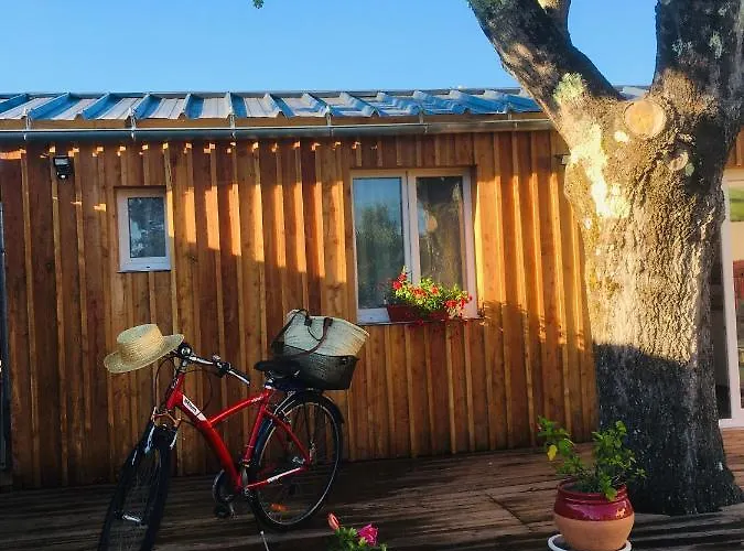 Апартаменты Les Petits De Kzo Ла-Тест-де-Бюш