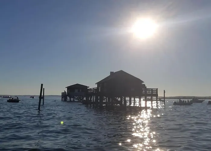 Les Petits De Kzo Ла-Тест-де-Бюш