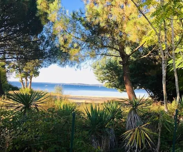 Les Petits De Kzo Ла-Тест-де-Бюш