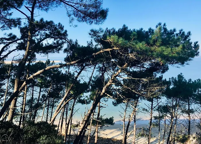 Les Petits De Kzo Апартаменты *